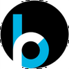 Bloomreach Logo